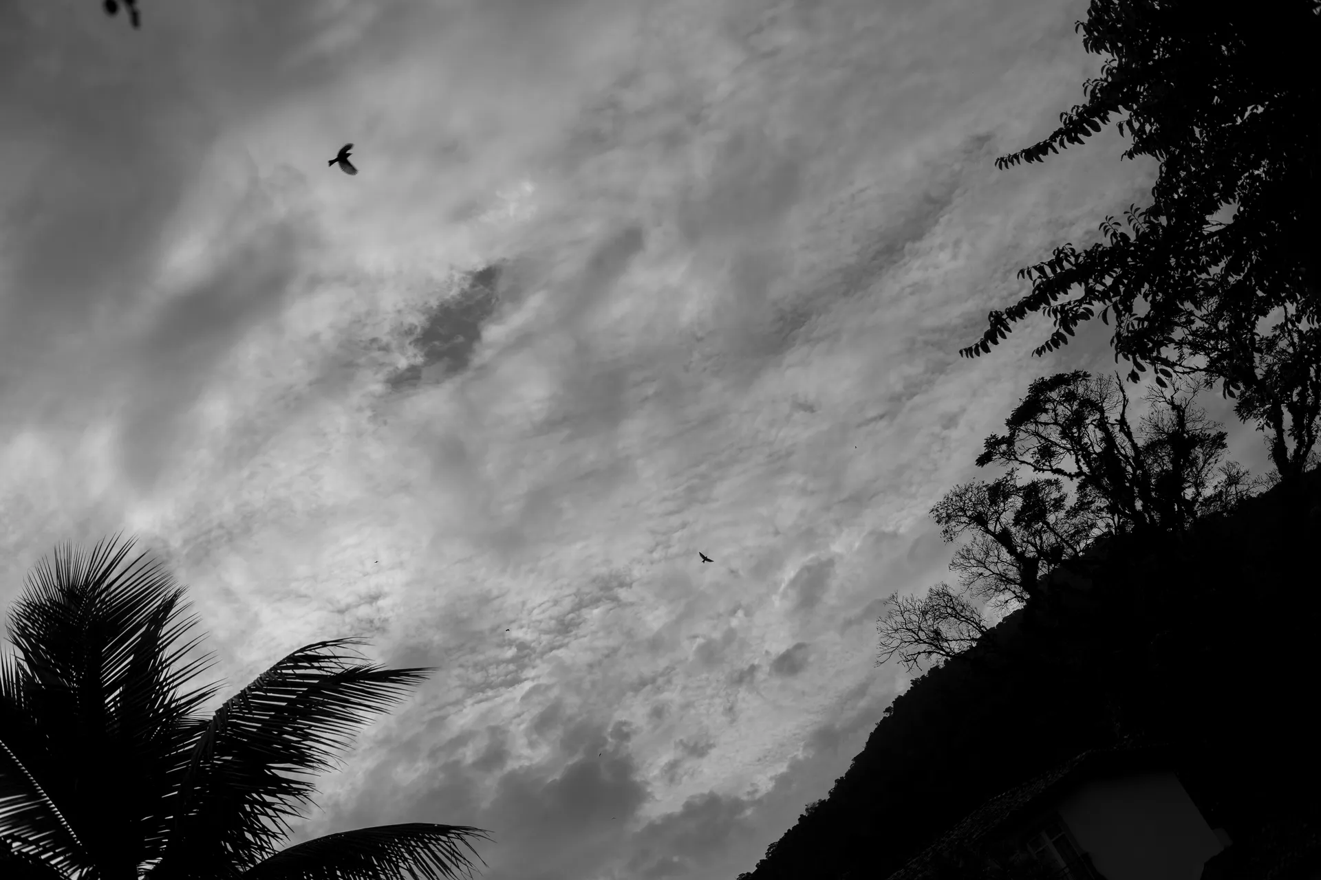 Tais & Renan · Club Med Rio das Pedras